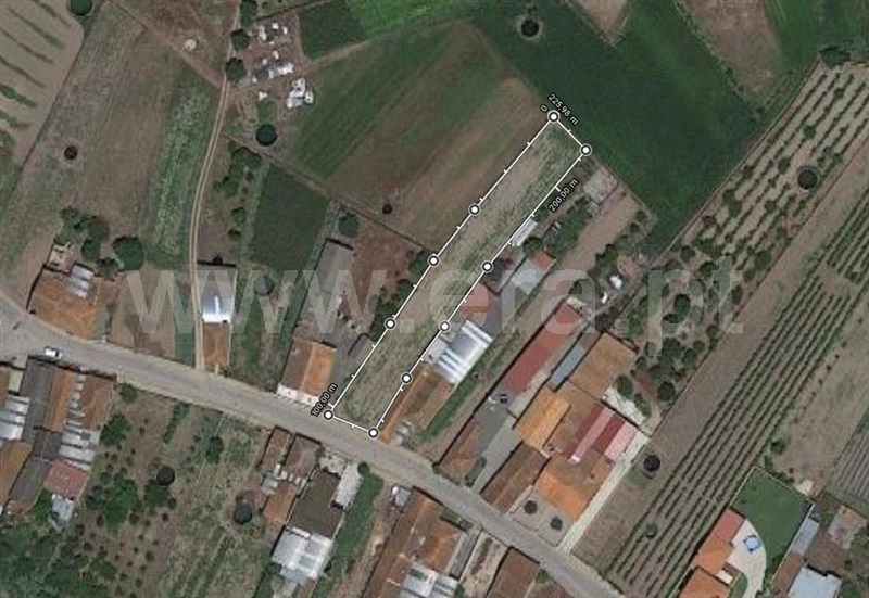 Terreno / Cantanhede, Marvão
