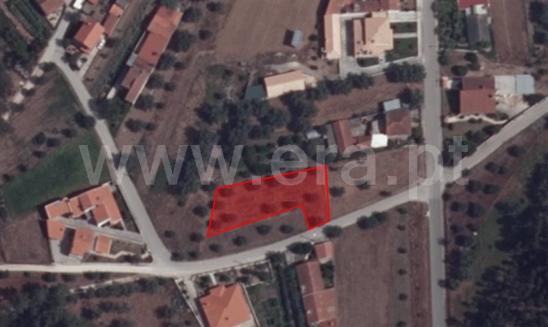 Terreno / Cantanhede, Murtede