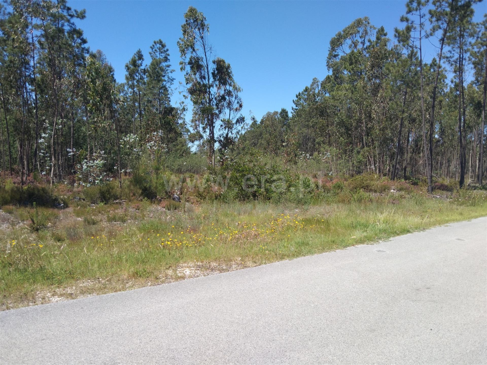 Land for sale in Cantanhede, Portugal — €56,000