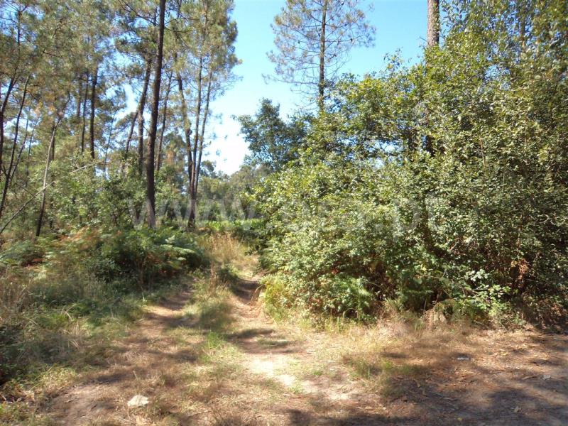 Terreno  Cantanhede, Outil - 90053 - 2