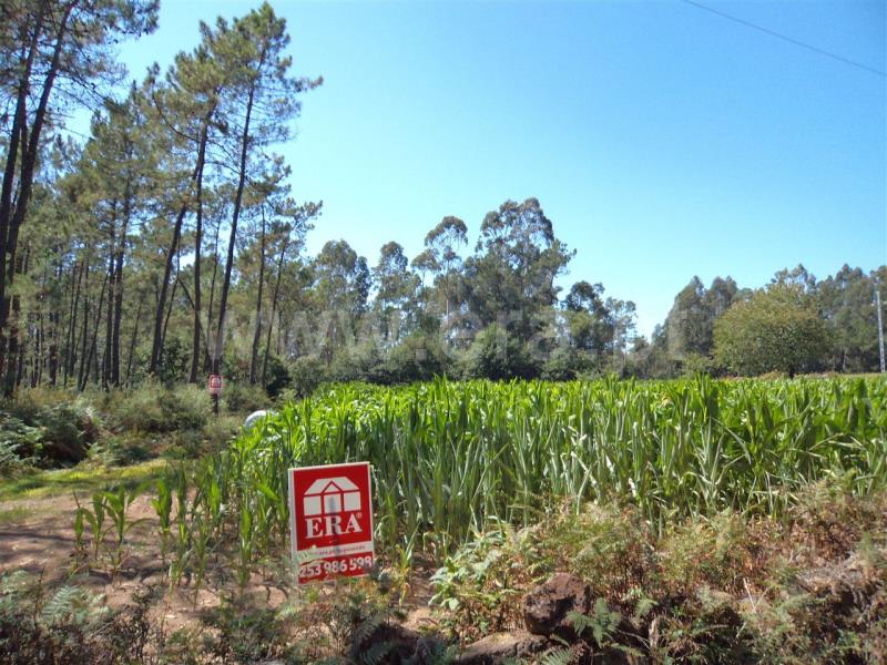 Terreno  Cantanhede, Outil - 90053 - 3