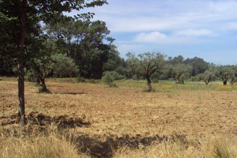 Terreno  Cantanhede, Outil - 90053 - 4