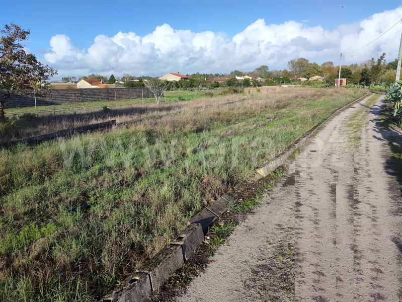 Terreno  Cantanhede, Pedreira - 1362825 - 2