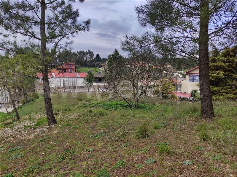 Terreno  Cantanhede, Pena - 1459413 - 4