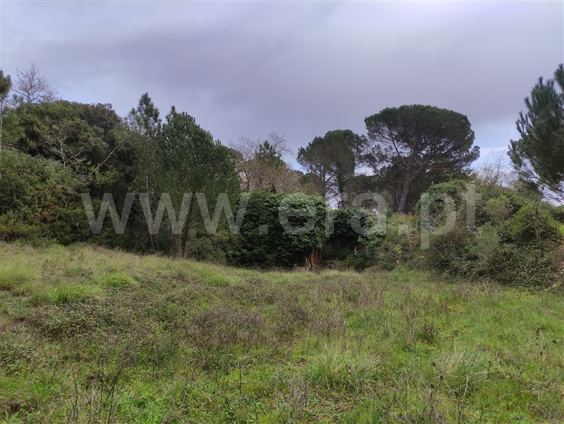 Terreno  Cantanhede, Pena - 1459413 - 5