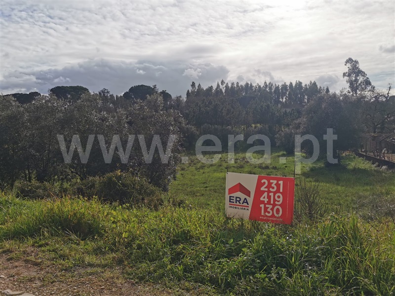 Terreno / Cantanhede, Pena