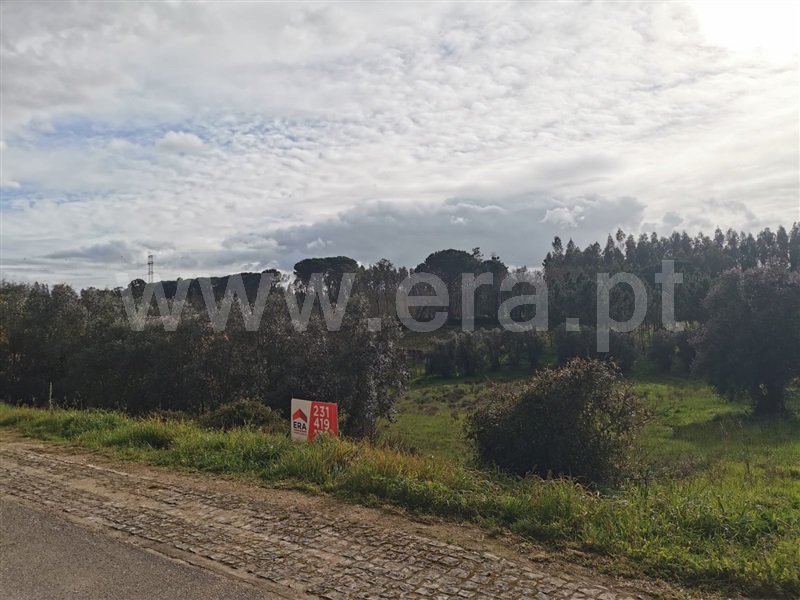 Terreno / Cantanhede, Pena