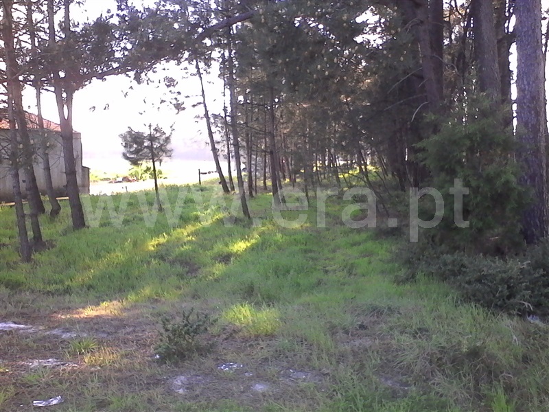Terreno  Cantanhede, Pereirões - 803224 - 3