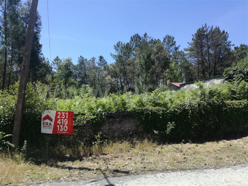 Terreno / Cantanhede, Pisão