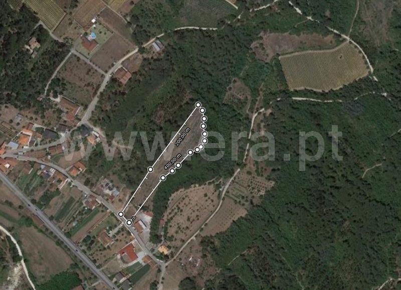 Terreno  Cantanhede, Pena - 869272 - 3