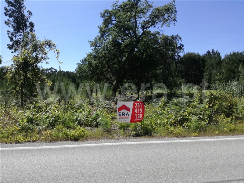 Terreno / Cantanhede, São Caetano