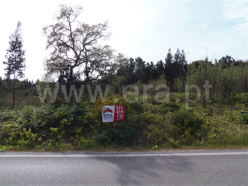 Terreno  Cantanhede, São Caetano - 1246350 - 3
