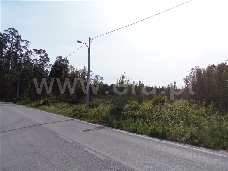 Terreno  Cantanhede, São Caetano - 1246350 - 4
