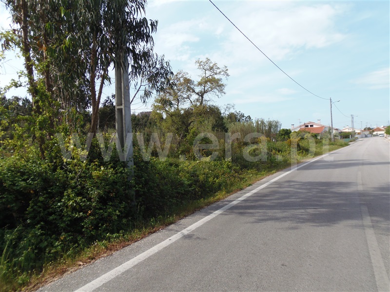 Terreno  Cantanhede, São Caetano - 1246350 - 5