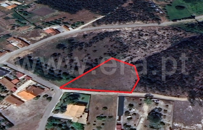 Terreno / Cantanhede, São Caetano