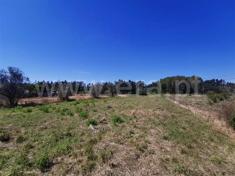 Terreno  Cantanhede, Serredade - 1428522 - 4