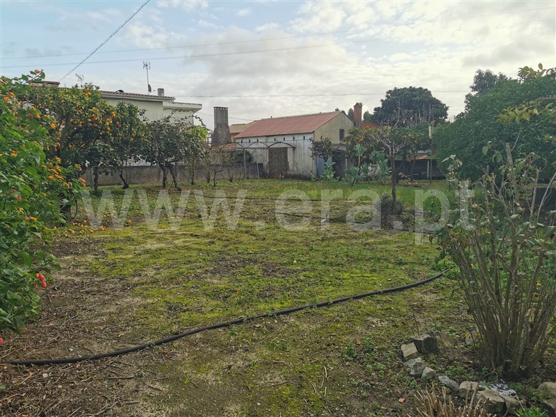 Terreno  Cantanhede, Vilamar - 1451339 - 1