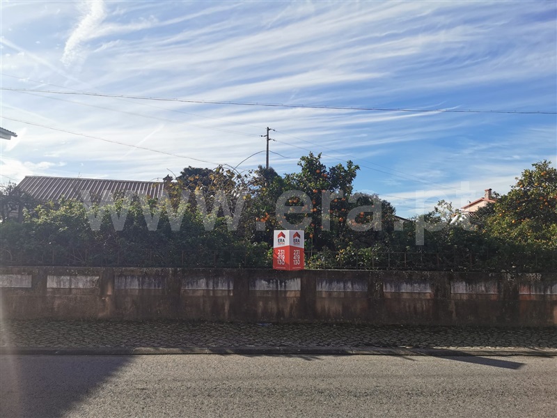 Terreno / Cantanhede, Vilamar