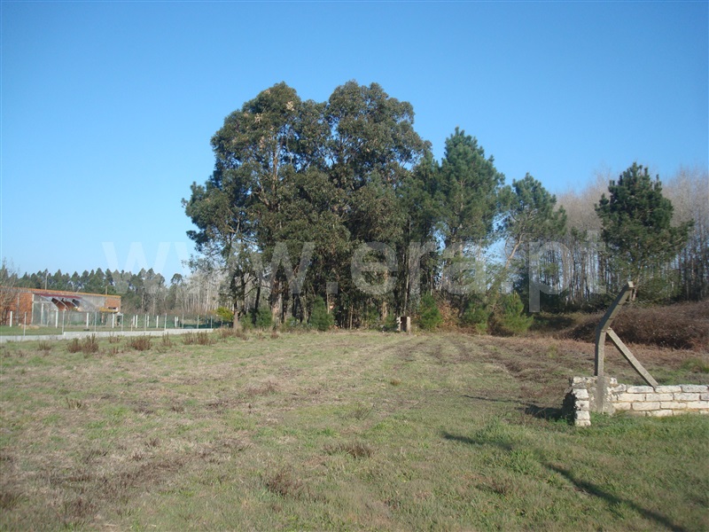 Terreno / Cantanhede, Vilamar