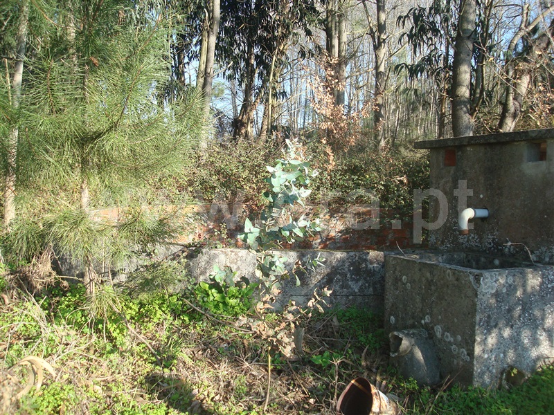 Terreno  Cantanhede, Vilamar - 890696 - 2