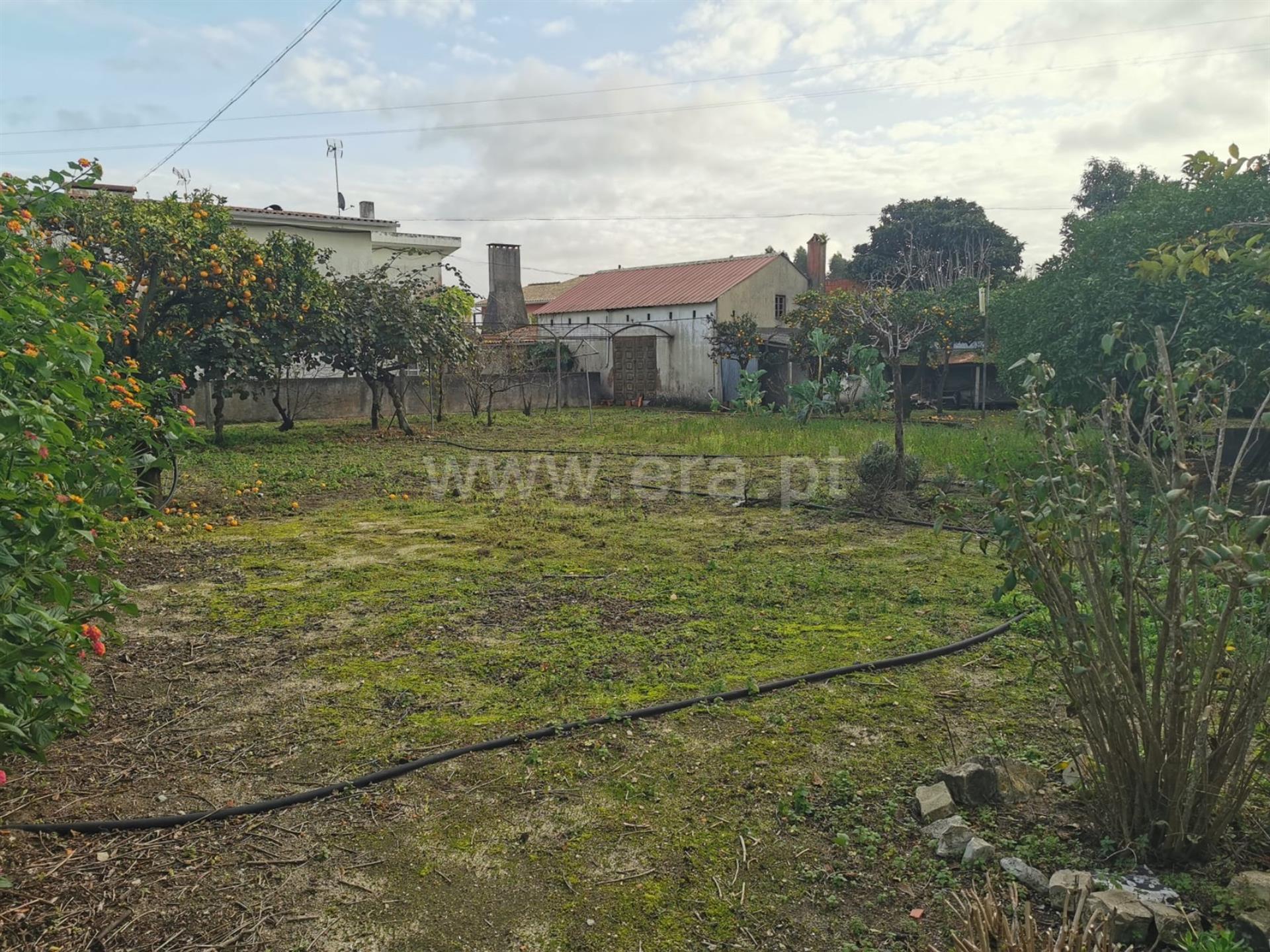 Land for sale in Cantanhede, Portugal — €65,000