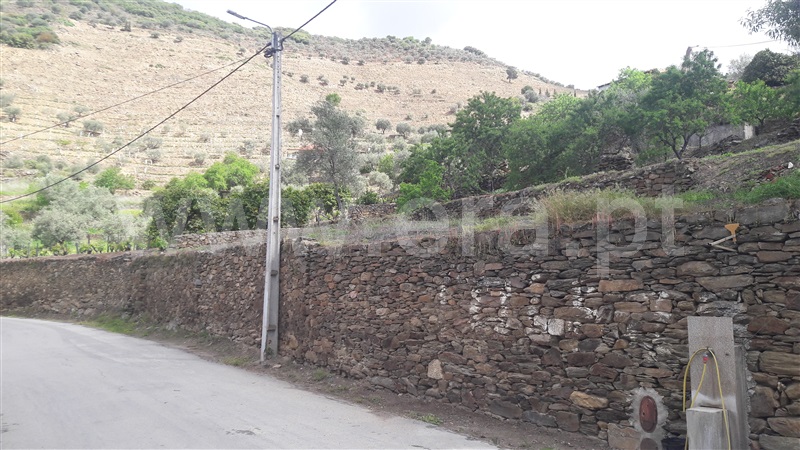 Terreno  Carrazeda de Ansiães, Seixo de Ansiães - 1145627 - 3