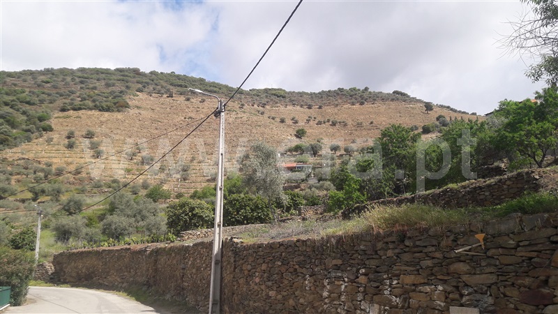 Terreno  Carrazeda de Ansiães, Seixo de Ansiães - 1145627 - 4