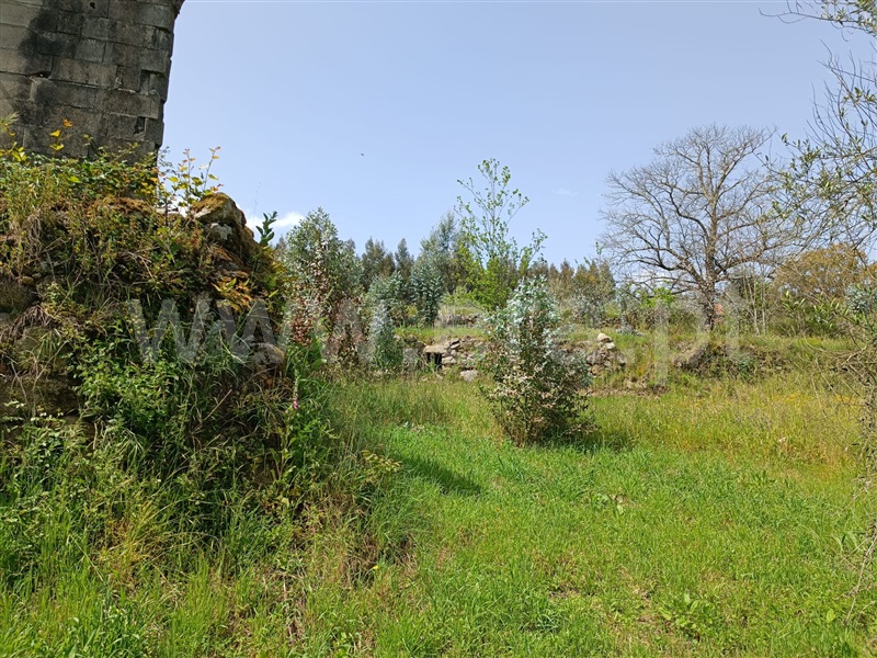 Terreno  Carregal do Sal, Cabanas de Viriato - 1249642 - 5