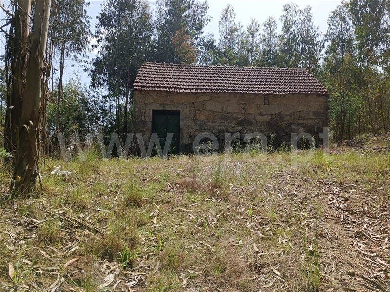Terreno  Carregal do Sal, Cabanas de Viriato - 1249642 - 7