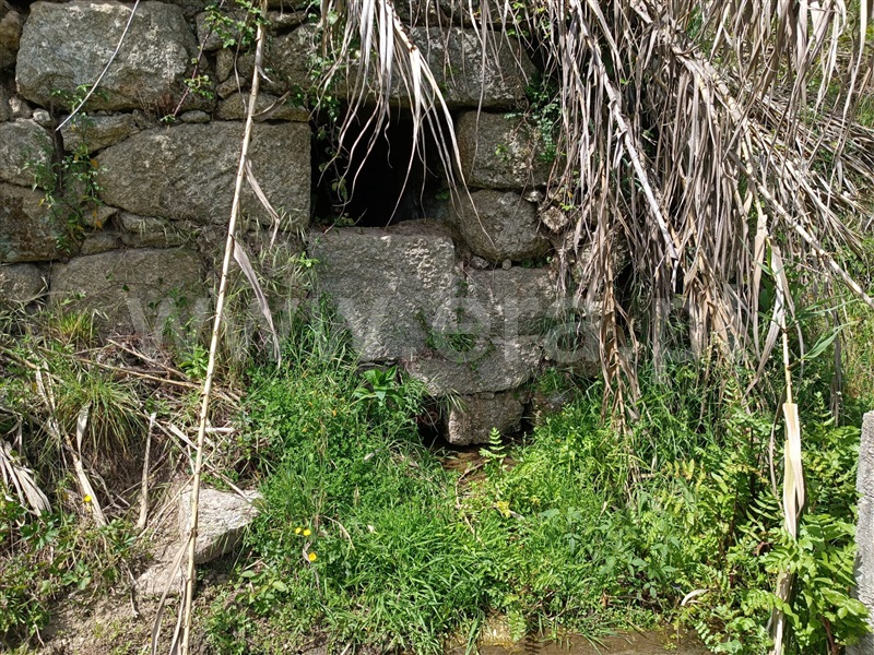Terreno  Carregal do Sal, Cabanas de Viriato - 1249642 - 9