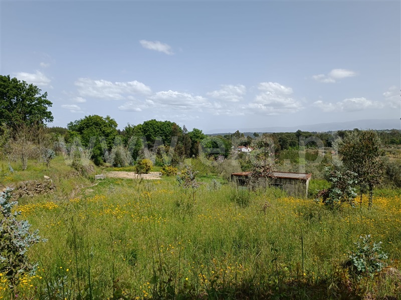 Terreno  Carregal do Sal, Cabanas de Viriato - 1249642 - 15