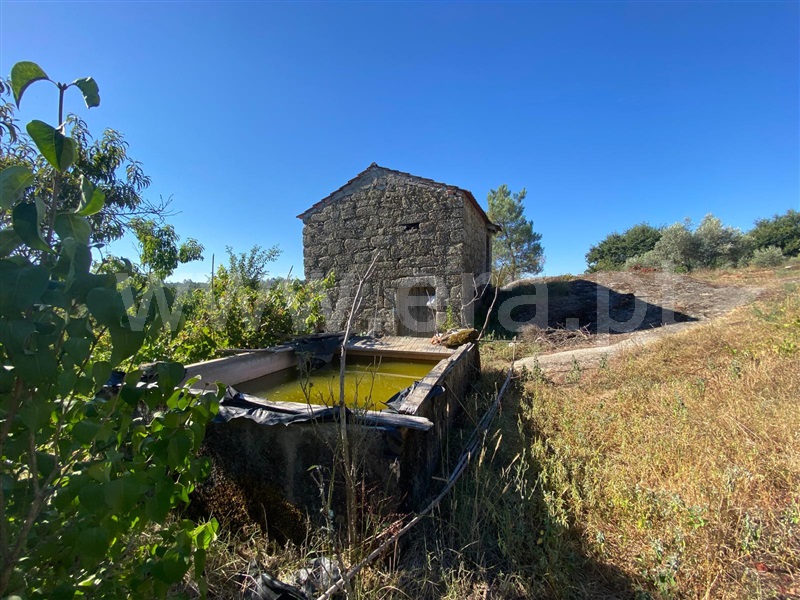 Terreno / Carregal do Sal, Cabanas de Viriato