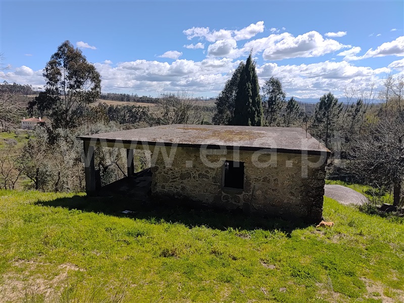 Terreno / Carregal do Sal, Currelos, Papízios e Sobral