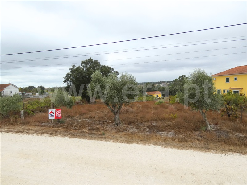 Terreno / Cartaxo, Cartaxo e Vale da Pinta