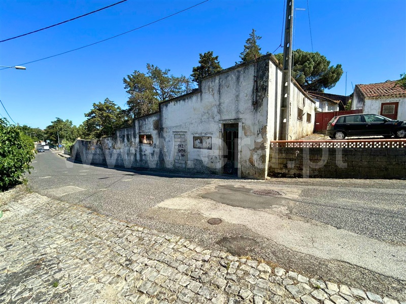 Terreno / Cartaxo, Cartaxo
