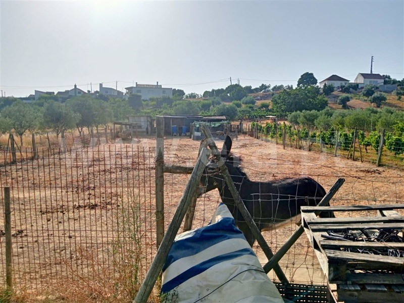 Terreno  Cartaxo, Pontével - 1499922 - 2