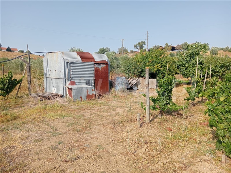 Terreno  Cartaxo, Pontével - 1499922 - 5