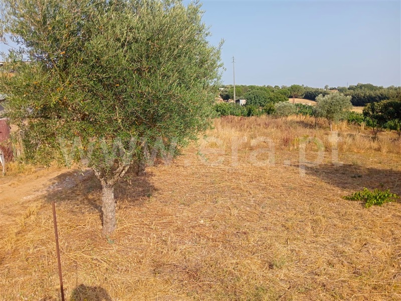 Terreno  Cartaxo, Pontével - 1499922 - 6