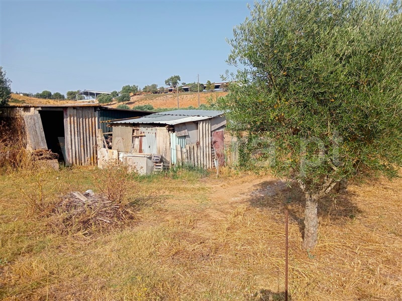 Terreno  Cartaxo, Pontével - 1499922 - 9