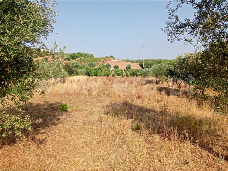 Terreno  Cartaxo, Pontével - 1499922 - 12