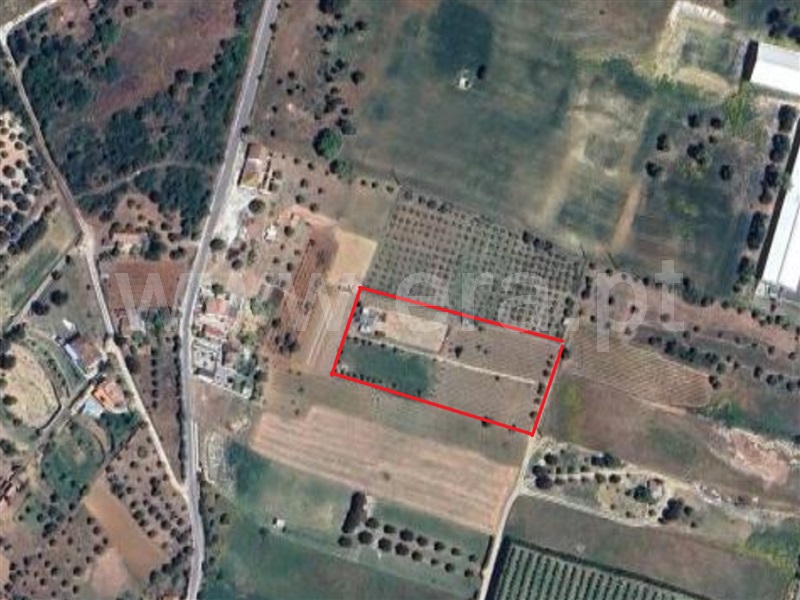 Terreno  Cartaxo, Pontével - 1499922 - 13