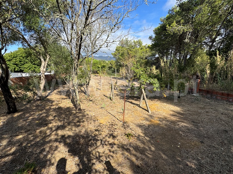 Terreno  Cascais, Fora de Zona - 1514768 - 3