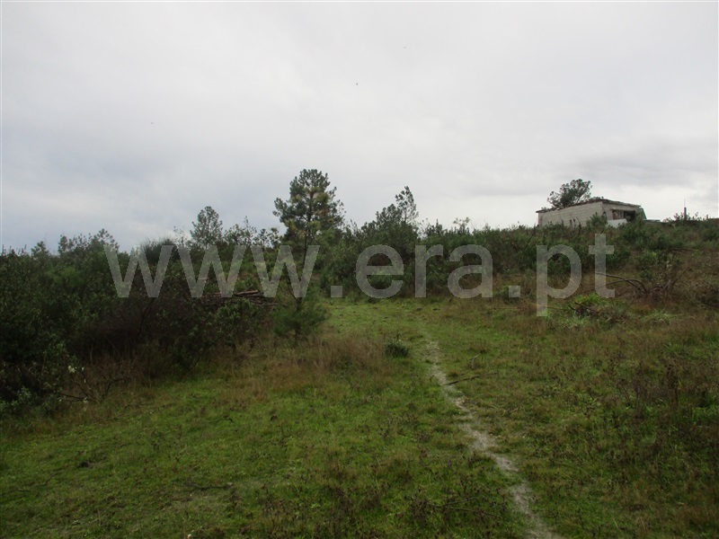 Terreno  Castelo Branco, Retaxo - 1375701 - 4
