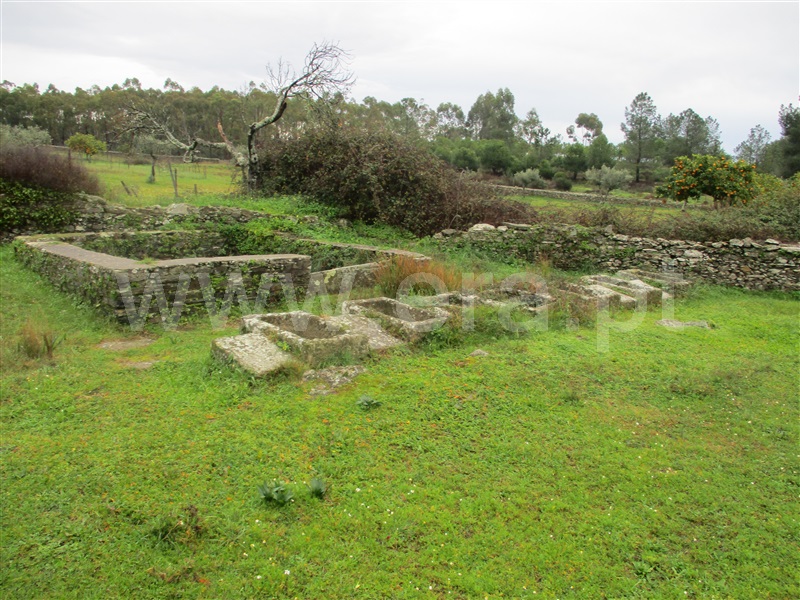 Terreno / Castelo Branco, Cebolais de Cima e Retaxo