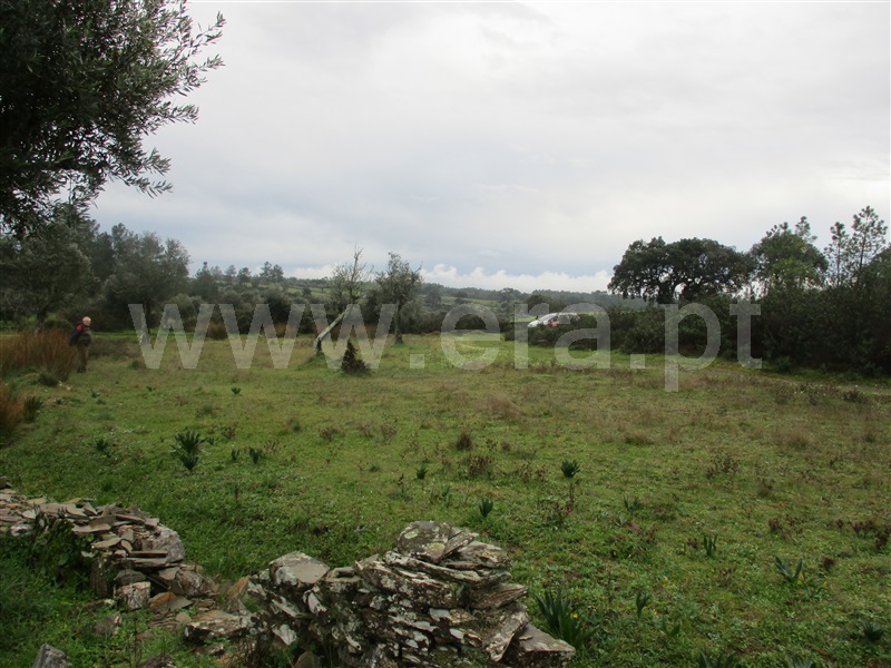 Terreno  Castelo Branco, Retaxo - 1375701 - 8