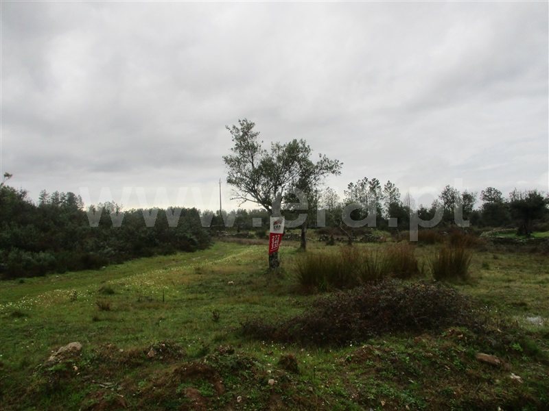 Terreno  Castelo Branco, Retaxo - 1375701 - 9