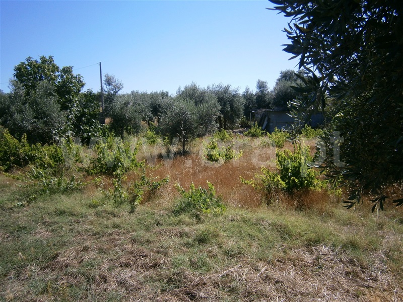 Terreno / Castelo Branco, Freixial do Campo