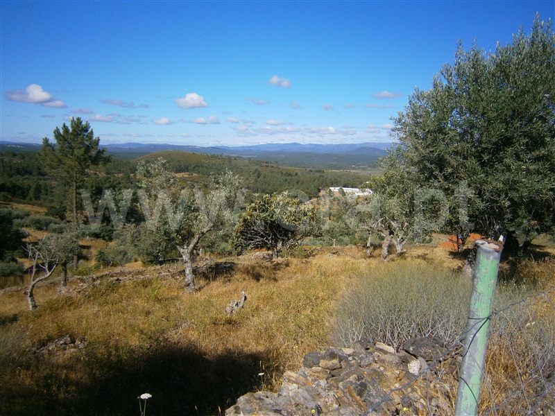 Terreno  Castelo Branco, Juncal do Campo - 1256608 - 8
