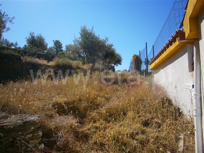 Terreno  Castelo Branco, Juncal do Campo - 1256608 - 9