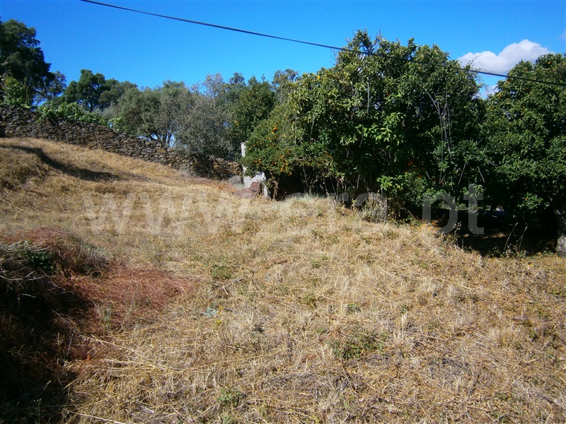 Terreno  Castelo Branco, Juncal do Campo - 1256608 - 12